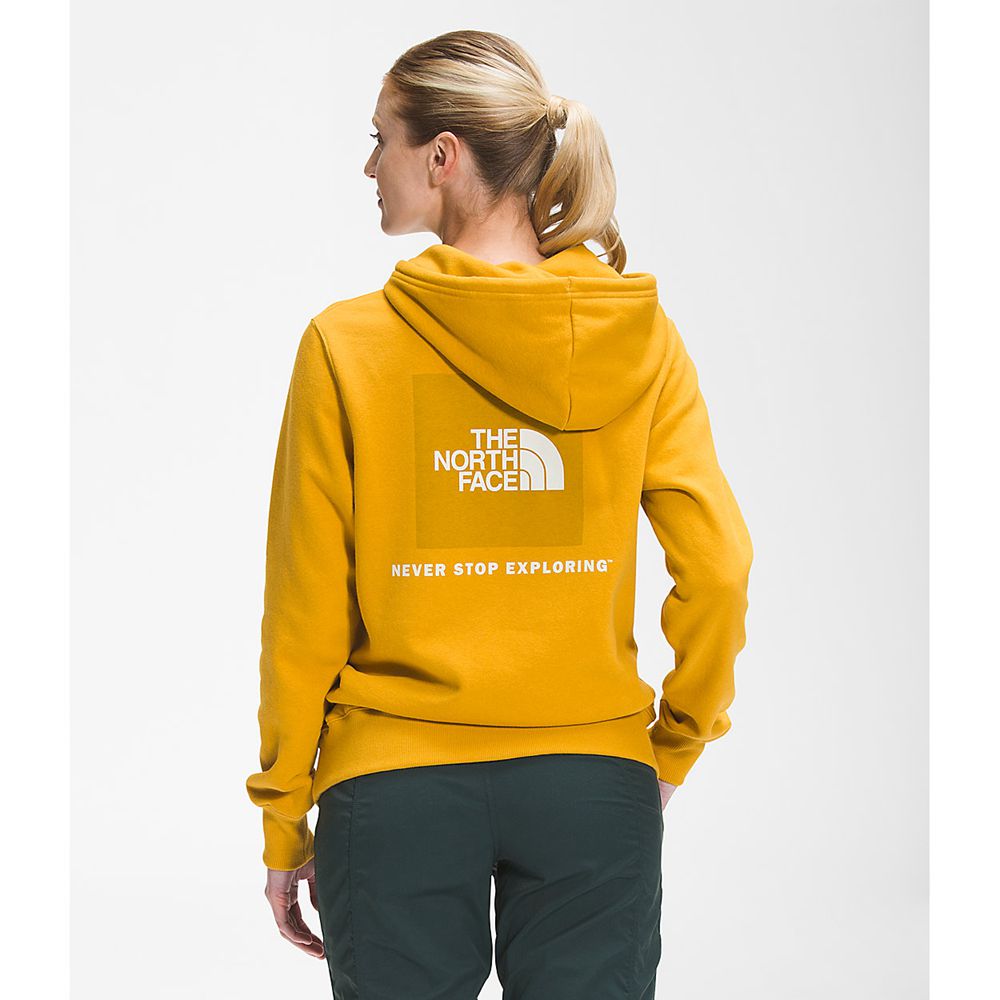 The North Face Hoodie Womens Australia - The North Face Box Nse Pullover Yellow Never Stop Exploring